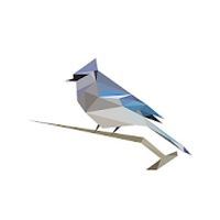 Reconnaissez le chant des oiseaux dans la campagne berrichonne Birdnet reconnait le chant des oiseaux